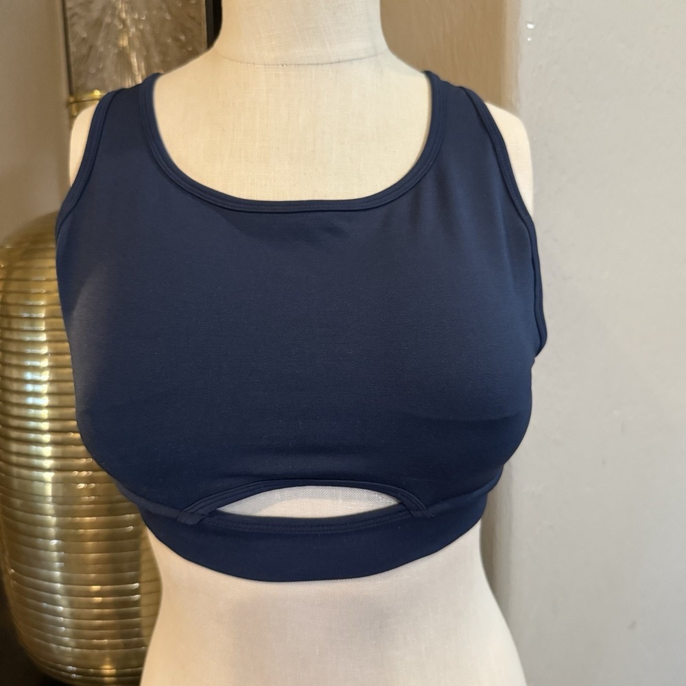 Alphalete Trinity Sports Bra Blue Medium Activewear Gym Workout Intimates